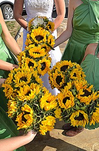 sunflowers as bouquets