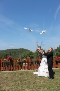 dove release